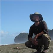 English, Italian, Dutch, Spanish, Portuguese teacher